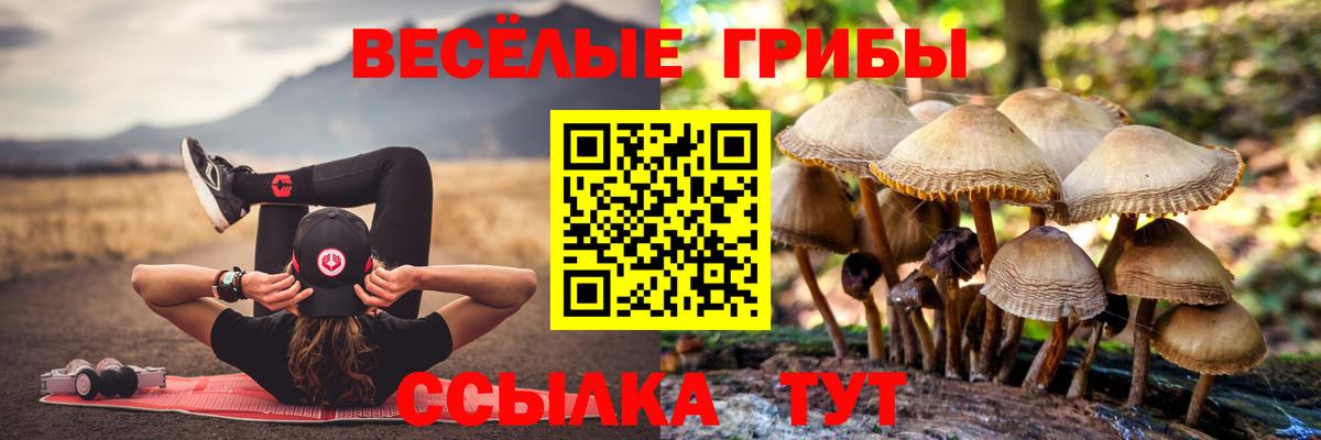 Псилоцибиновые грибы MAGIC MUSHROOMS Керчь